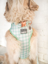 "Sweet Apple" Suburban Collar (Seconds)